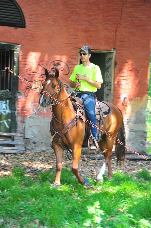 DSC_1034.JPG